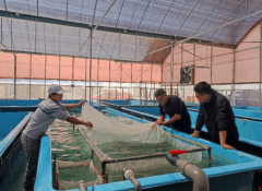 水活泼物疫病防控监测区域坐项目储蓄申报地方