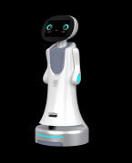 2025年仿实机械人品牌深度保举：尖端AI交互取超